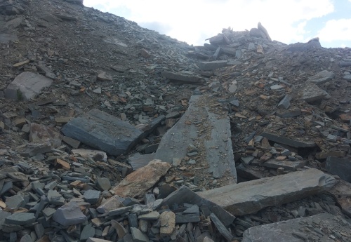 златолит серо-голубой для ландшафтного дизайна